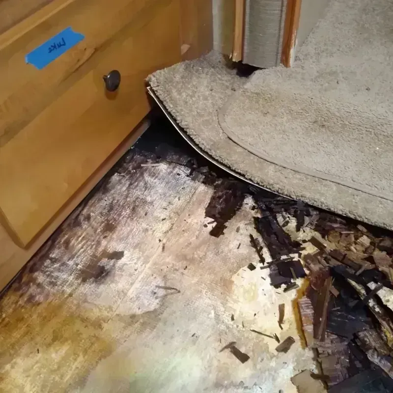 Best Wood Floor Water Damage Service in Afton, WY